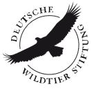 Deutsche Wildtierstiftung stellt sich gegen den Windpark Hammoor