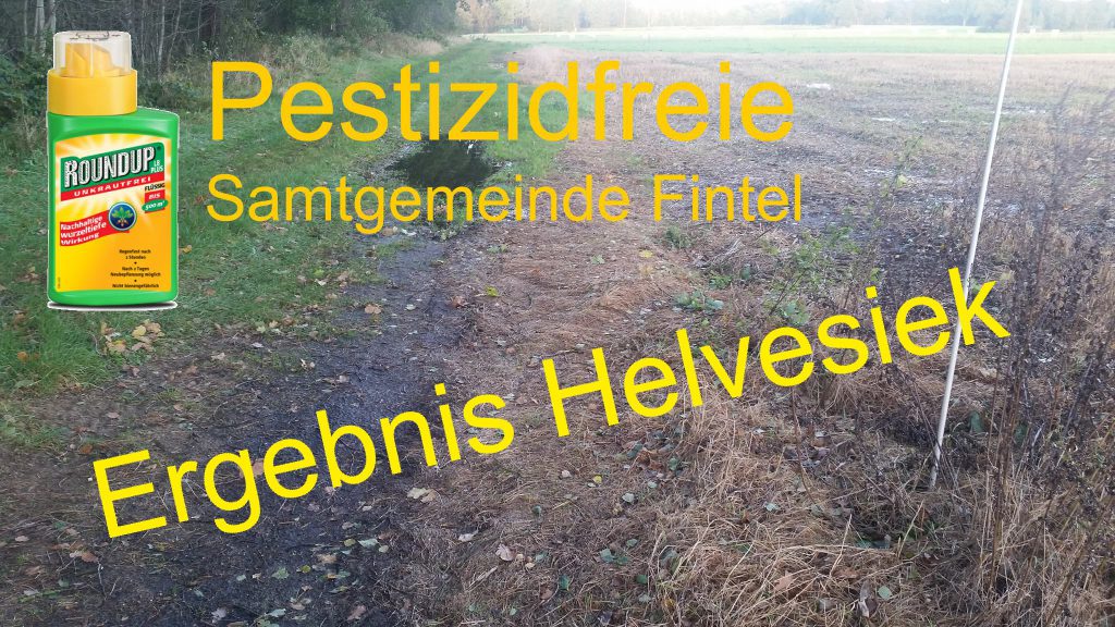 Rat von Helvesiek entscheidet sich gegen Naturschutz