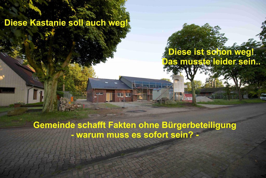 Baumfällarbeiten in Lauenbrück! Hat die Gemeinde den – in ihrer Richtlinie – festgelegten Bestandsschutz beachtet?