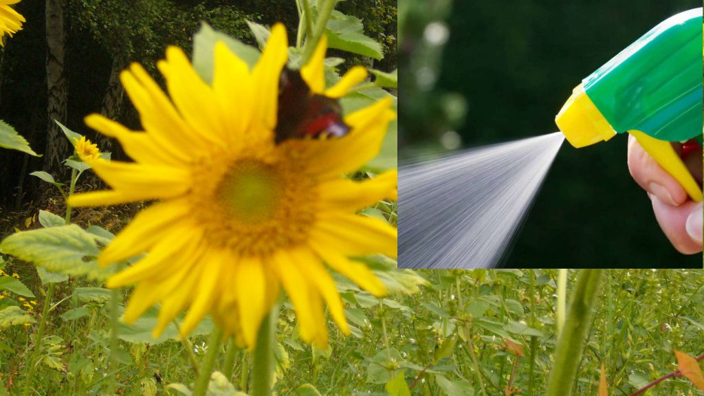 Neues aus der Giftküche der Agrarindustrie – Einsatz von Pestiziden geht nicht zurück!