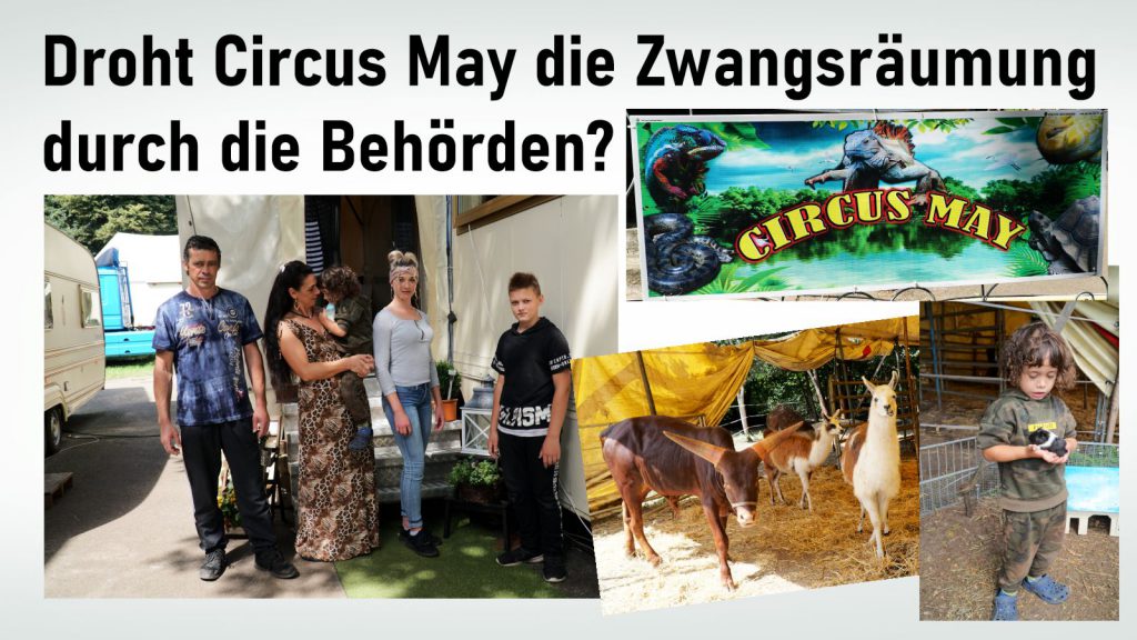 Zwangsräumung! Fehlende Empathie oder Unachtsamkeit?